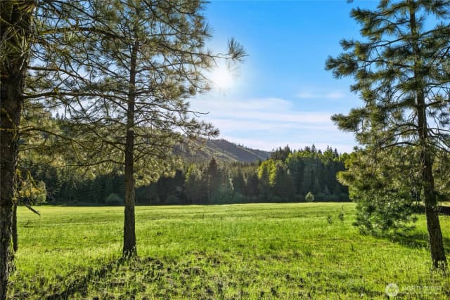 Property photo for 20 Domerie Park Loop, Cle Elum photo 2
