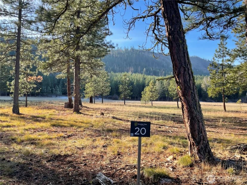 Property photo for 20 Domerie Park Loop, Cle Elum photo 12