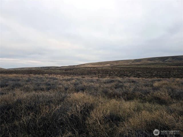 Property photo for 4200 Wadsworth Road, Kahlotus photo 5