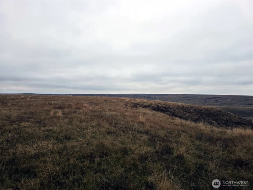Property photo for 4200 Wadsworth Road, Kahlotus photo 16