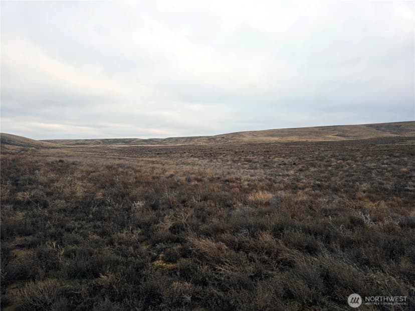 Property photo for 4200 Wadsworth Road, Kahlotus photo 28