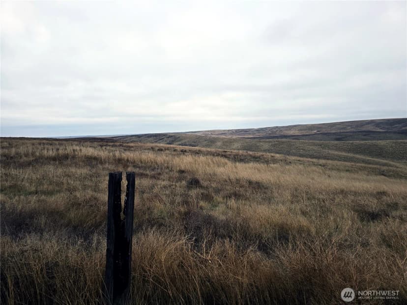 Property photo for 4200 Wadsworth Road, Kahlotus photo 20