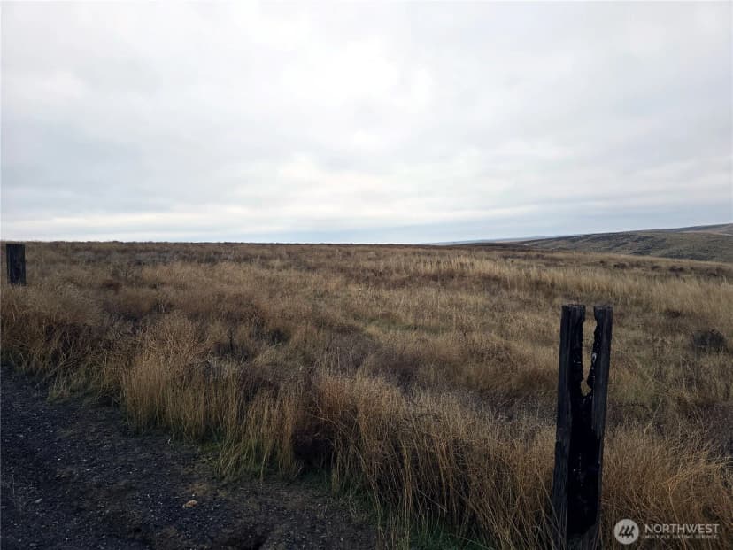 Property photo for 4200 Wadsworth Road, Kahlotus photo 19