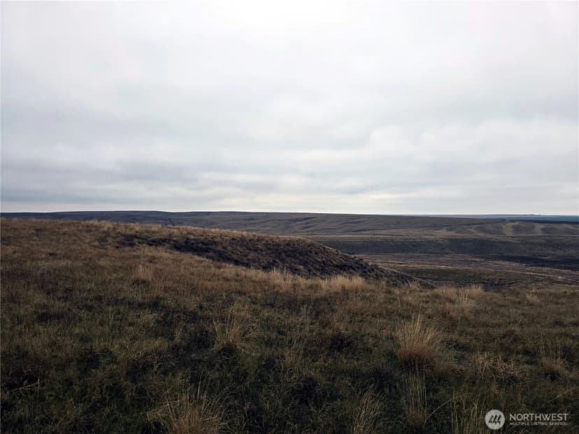 Property photo for 4200 Wadsworth Road, Kahlotus photo 15
