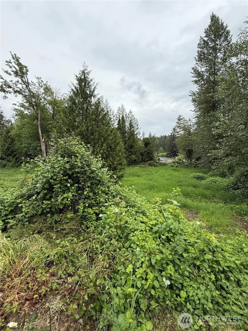 Property photo for 30836 3rd Avenue, Black Diamond photo 14