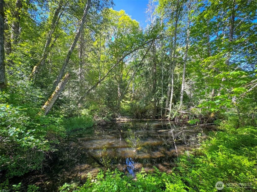 Property photo for 5118 S Mount Angeles Road, Port Angeles photo 17