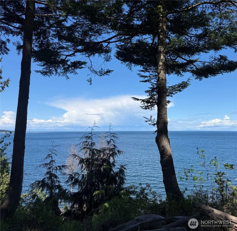 Property photo for 442 Buck Loop Road, Sequim photo 38