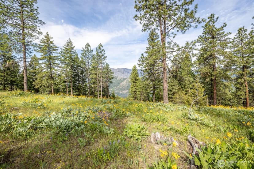 Property photo for 329 First Grade Road, Leavenworth photo 20