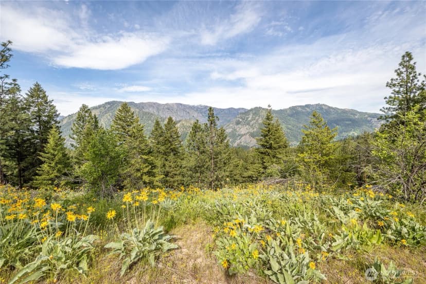 Property photo for 329 First Grade Road, Leavenworth photo 18