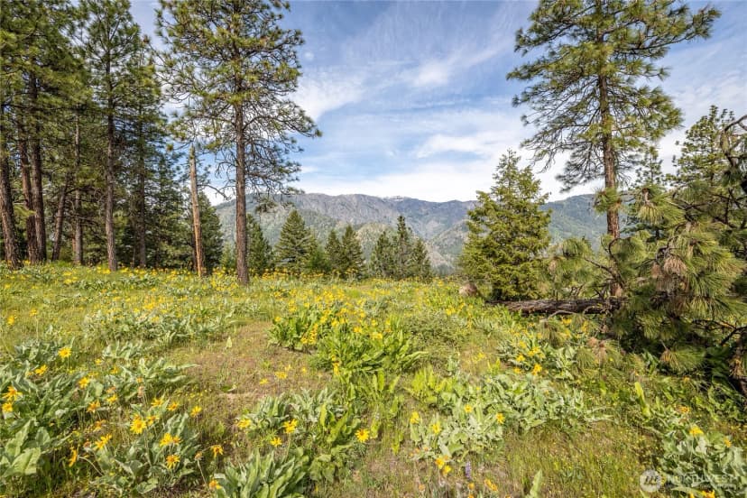 Property photo for 329 First Grade Road, Leavenworth photo 19