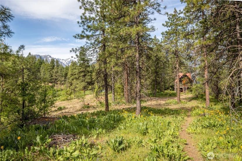Property photo for 329 First Grade Road, Leavenworth photo 24