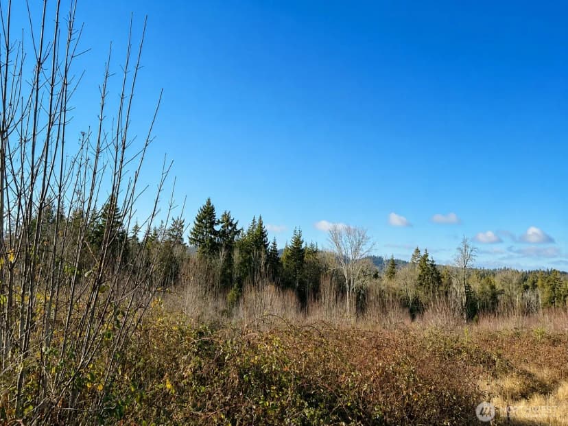 Property photo for 12426 Ne Phillip Drive S, Kingston photo 18
