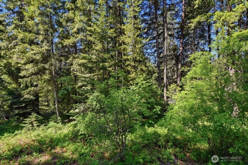 Property photo for 2486 Chiwawa Loop Road, Leavenworth photo 17