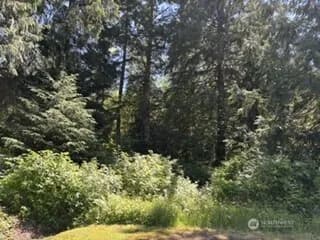 Property photo for 0 441st Avenue Se, North Bend photo 2