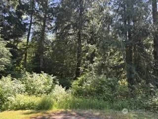 Property photo for 0 441st Avenue Se, North Bend
