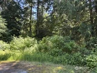 Property photo for 0 441st Avenue Se, North Bend photo 3