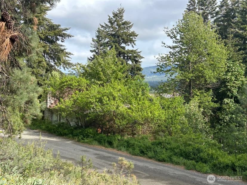 Property photo for 0 Xxx W 6th Street, Cle Elum photo 6