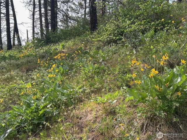 Property photo for 0 Xxx W 6th Street, Cle Elum photo 4