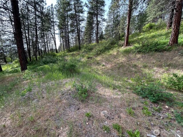 Property photo for 0 Xxx W 6th Street, Cle Elum photo 3