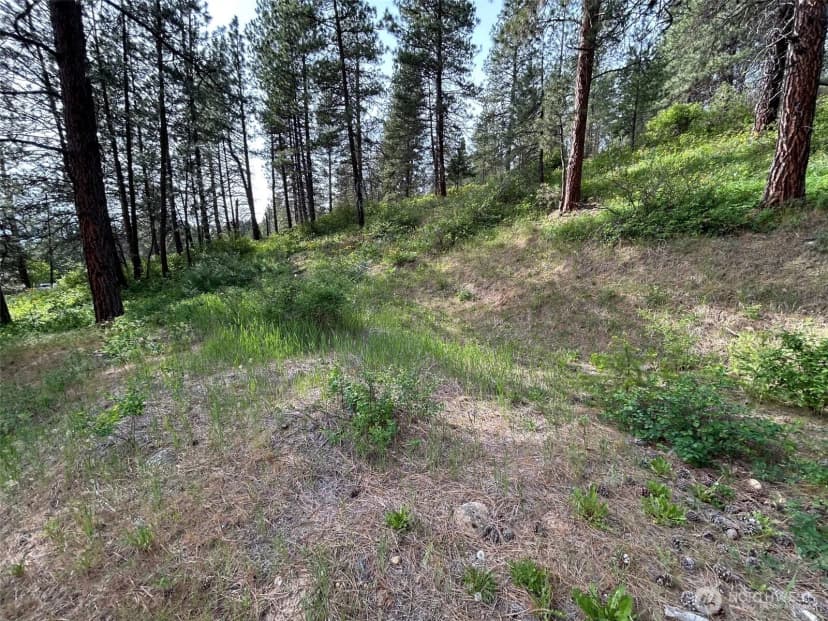 Property photo for 0 Xxx W 6th Street, Cle Elum photo 3