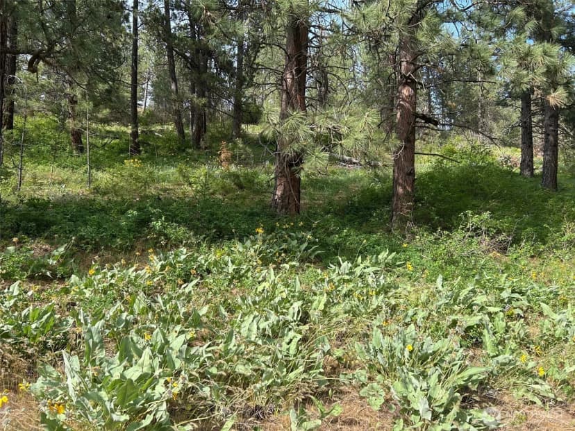 Property photo for 0 Xxx W 6th Street, Cle Elum