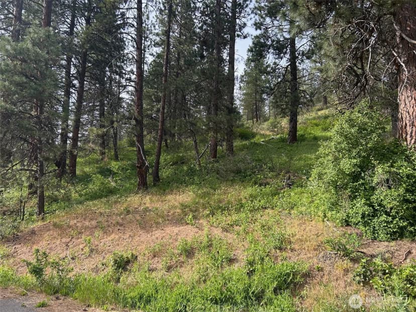 Property photo for 0 Xxx W 6th Street, Cle Elum photo 5