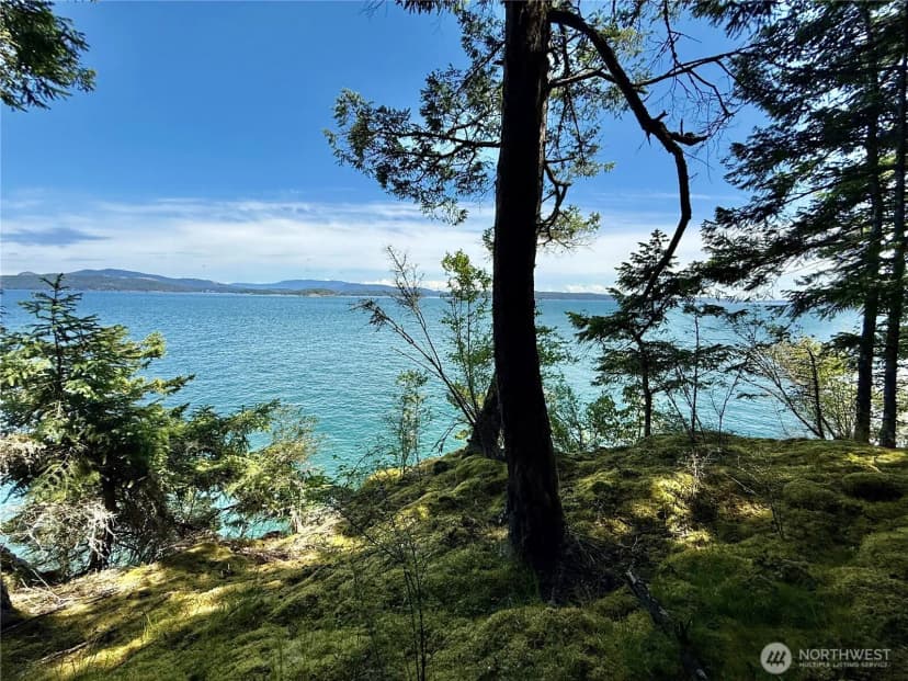 Property photo for 92 Flagpoint Lane, Friday Harbor photo 32