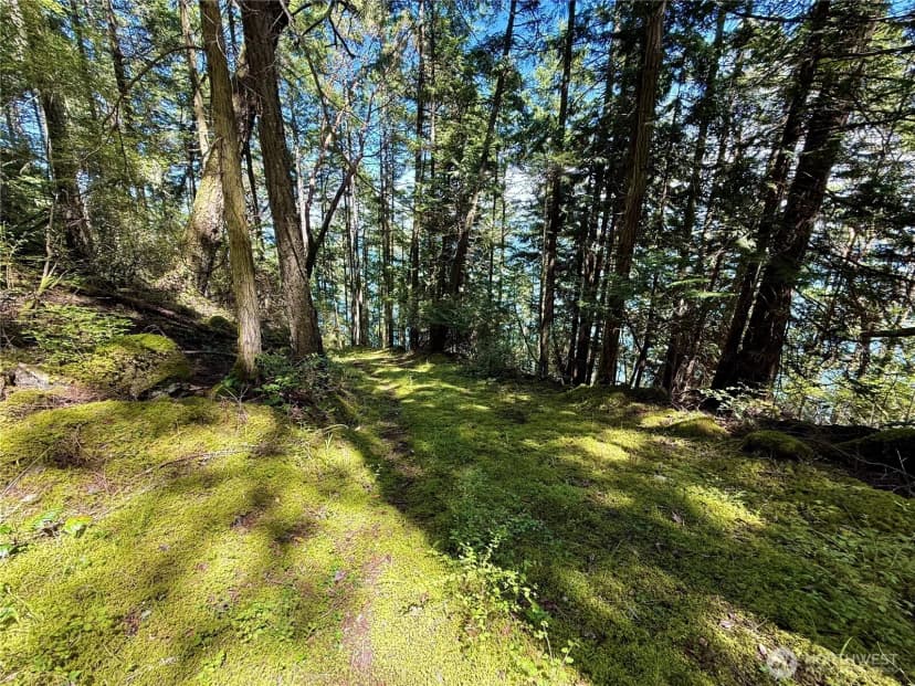 Property photo for 92 Flagpoint Lane, Friday Harbor photo 31