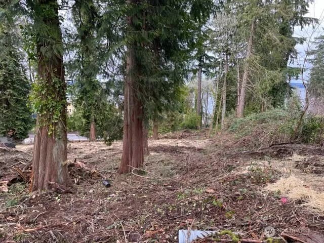 Property photo for 2005 Nisqually Street Steilacoom, Steilacoom photo 3