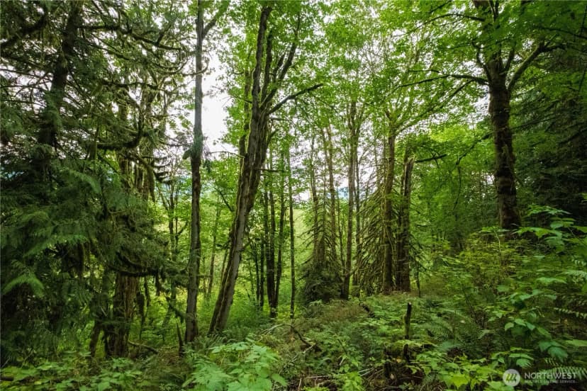 Property photo for 245 Xx Se 146th Street, Issaquah photo 7