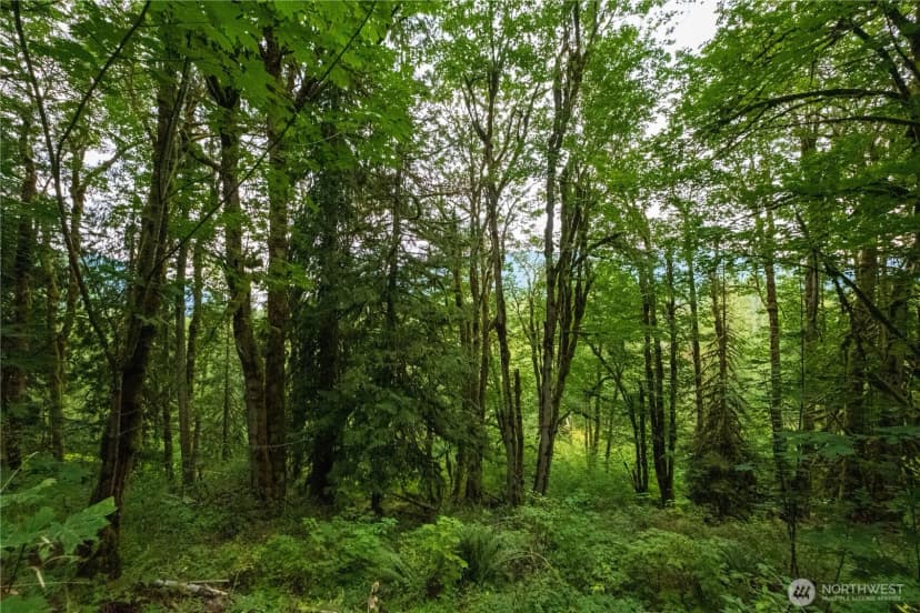 Property photo for 245 Xx Se 146th Street, Issaquah photo 6