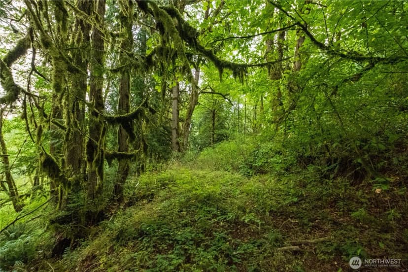 Property photo for 245 Xx Se 146th Street, Issaquah photo 10