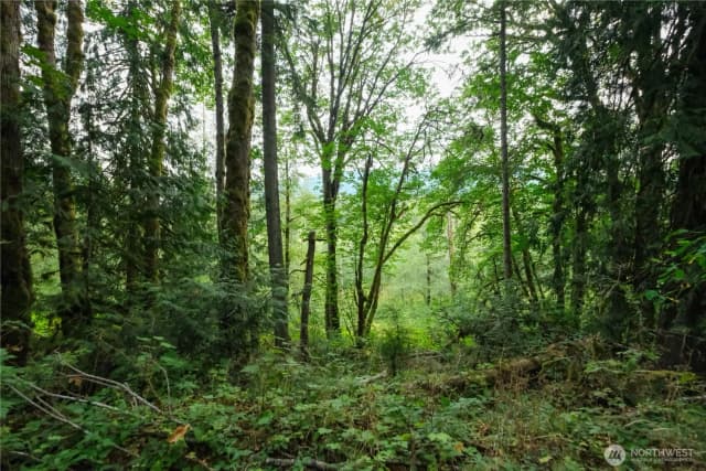 Property photo for 245 Xx Se 146th Street, Issaquah photo 5