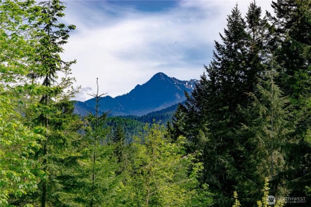 Property photo for 89 Slab Camp Road, Sequim photo 5