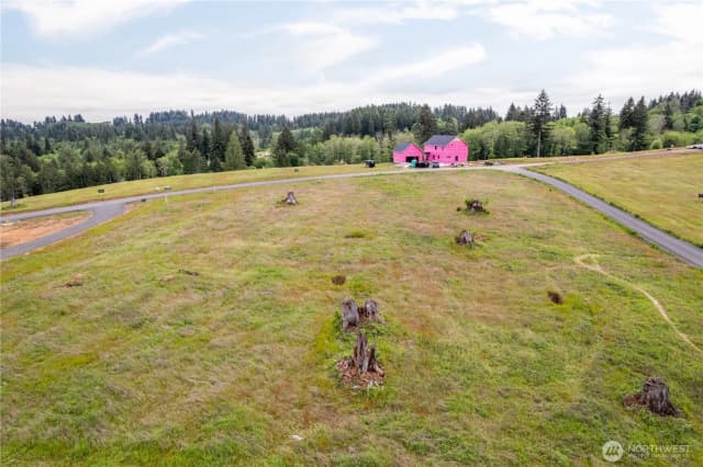 Property photo for 214 Ash Mountain Drive, Castle Rock photo 5