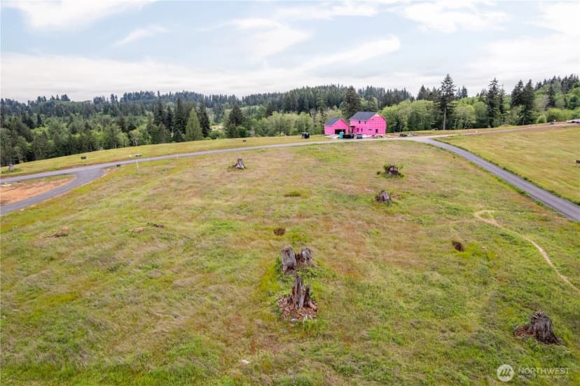 Property photo for 214 Ash Mountain Drive, Castle Rock photo 5