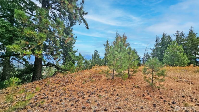 Property photo for 0 Lot 78 Skull Springs Road, Cle Elum photo 7