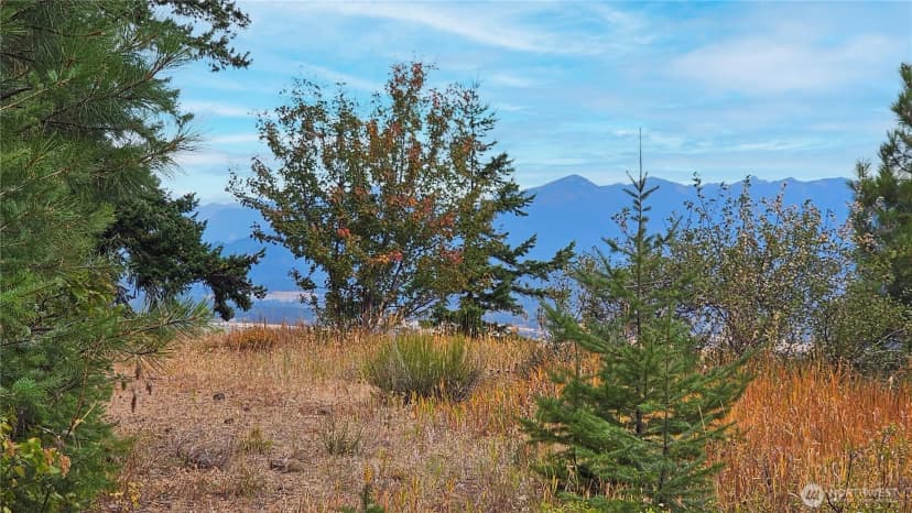 Property photo for 0 Lot 78 Skull Springs Road, Cle Elum photo 12