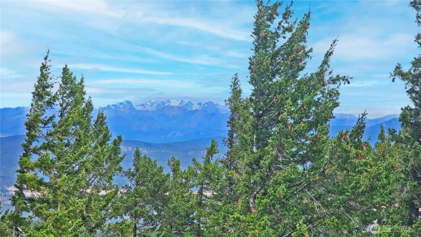 Property photo for 0 Lot 78 Skull Springs Road, Cle Elum photo 21