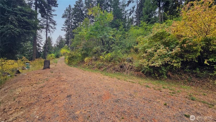 Property photo for 0 Lot 78 Skull Springs Road, Cle Elum photo 4