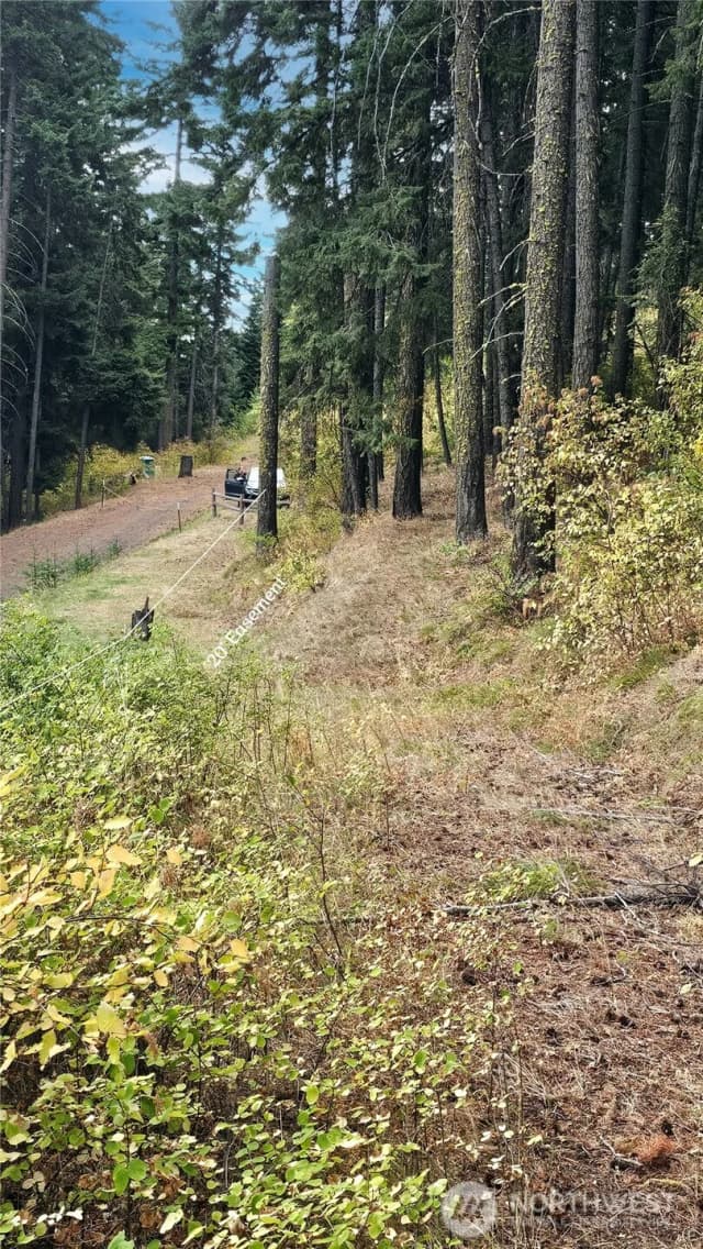 Property photo for 0 Lot 78 Skull Springs Road, Cle Elum photo 5