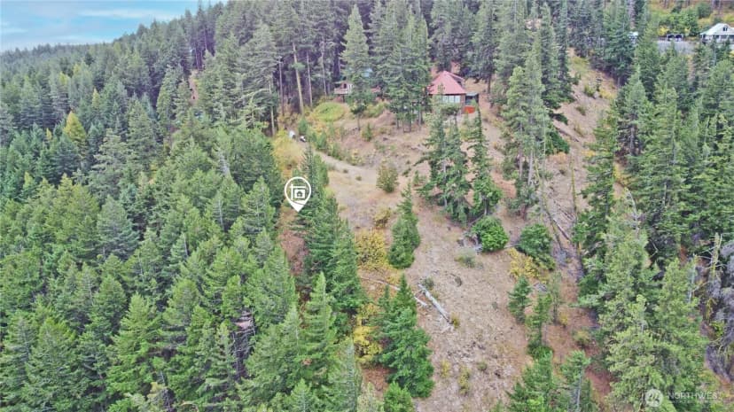 Property photo for 0 Lot 78 Skull Springs Road, Cle Elum photo 8