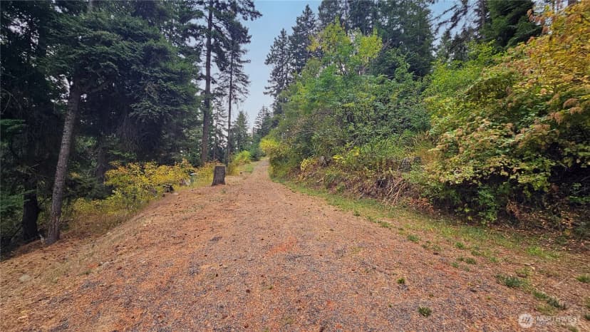 Property photo for 0 Lot 78 Skull Springs Road, Cle Elum photo 25
