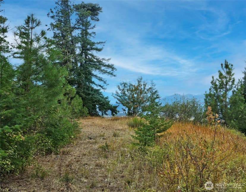 Property photo for 0 Lot 78 Skull Springs Road, Cle Elum photo 11