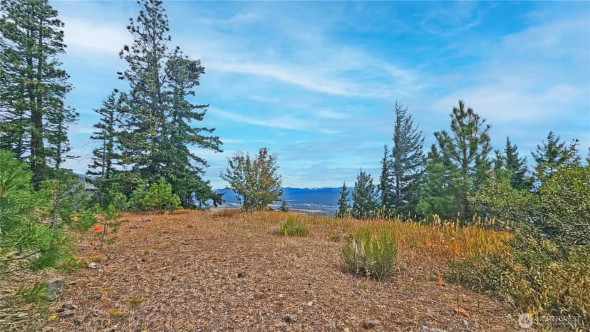 Property photo for 0 Lot 78 Skull Springs Road, Cle Elum photo 13