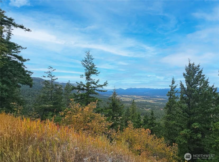 Property photo for 0 Lot 78 Skull Springs Road, Cle Elum photo 16