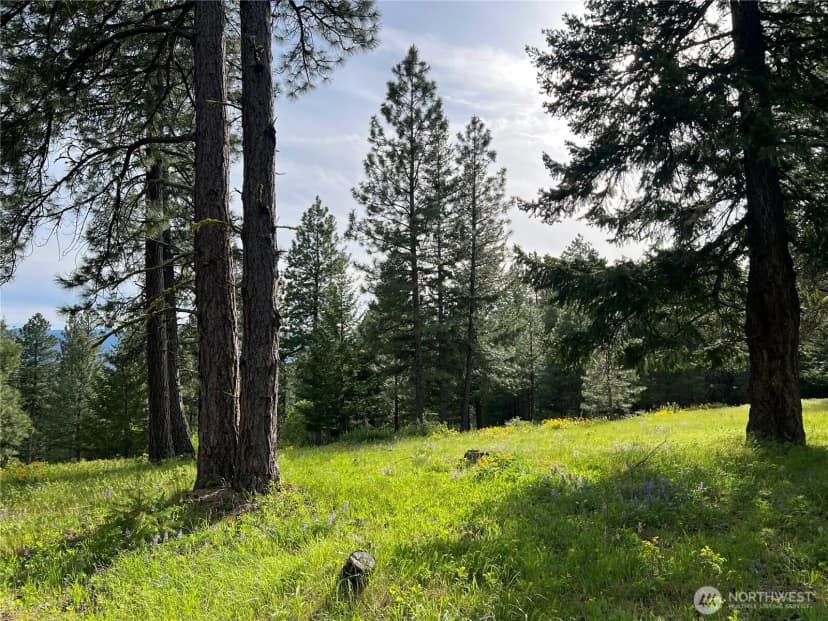 Property photo for 740 Sun Ridge Drive, Cle Elum photo 2