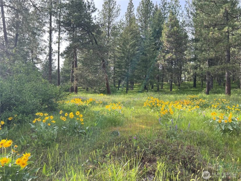 Property photo for 740 Sun Ridge Drive, Cle Elum photo 4