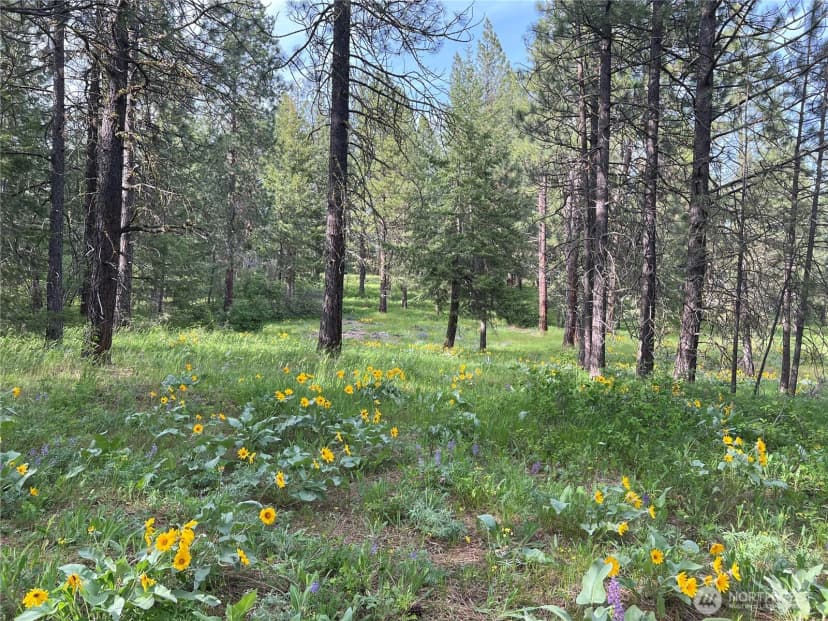 Property photo for 740 Sun Ridge Drive, Cle Elum photo 18