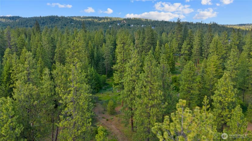 Property photo for 740 Sun Ridge Drive, Cle Elum photo 30